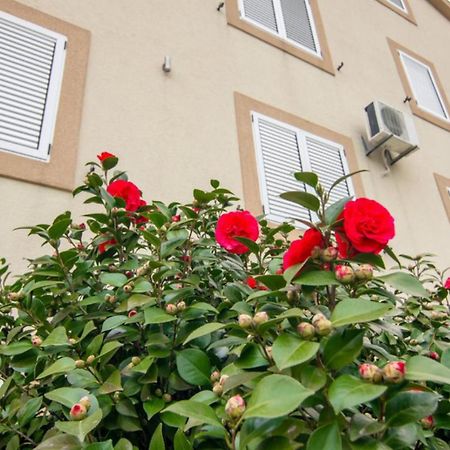 Apartments Savic แฮร์เซ็ก-โนวี ภายนอก รูปภาพ