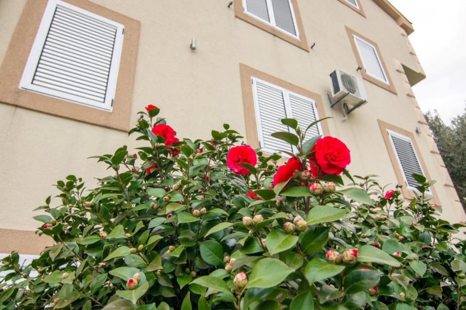 Apartments Savic แฮร์เซ็ก-โนวี ภายนอก รูปภาพ